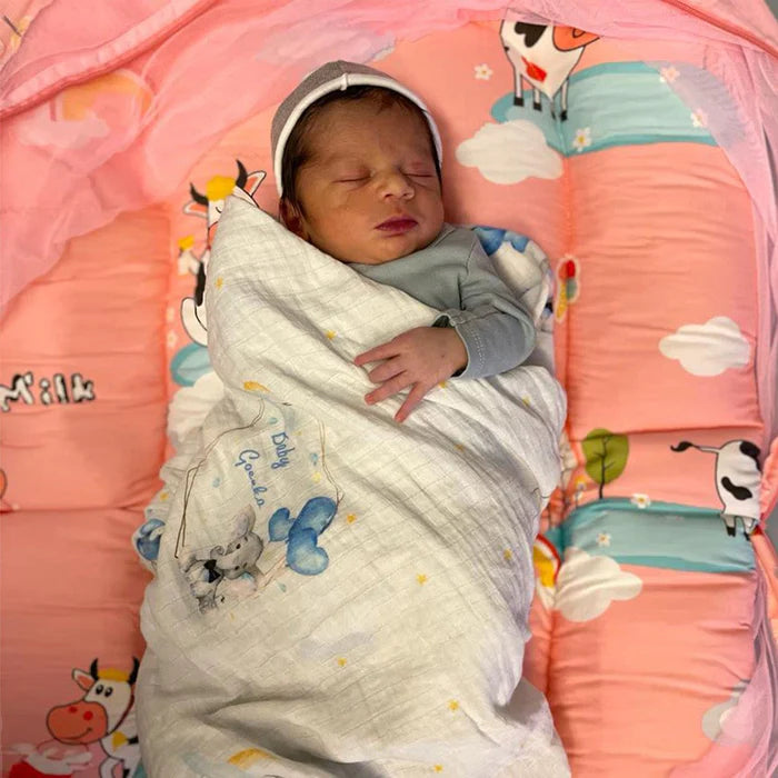 Soft & Safe Baby Cradle